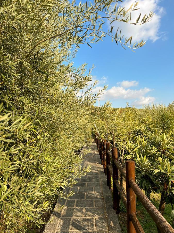 Villa Terre Katia Santa Maria di Licodia